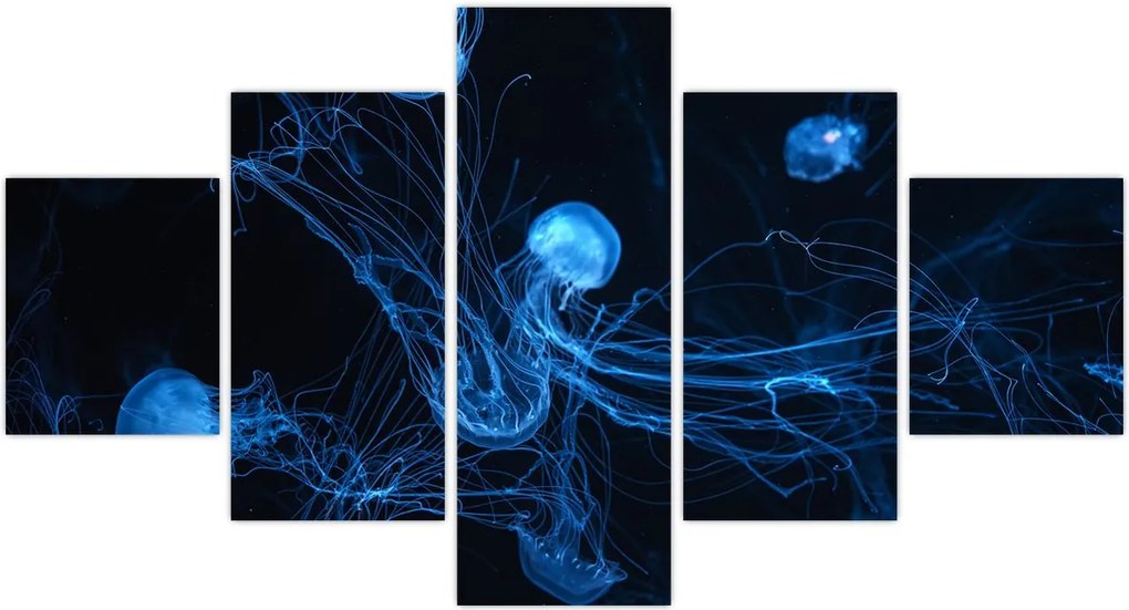 Obraz - Meduza (125x70 cm)