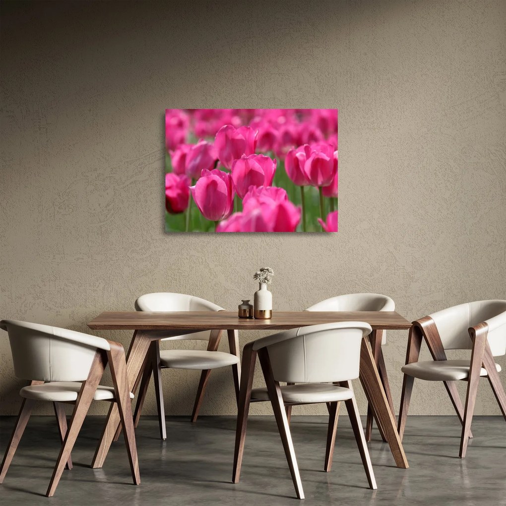 Obraz na szkle - Różowe tulipany (70x50 cm)
