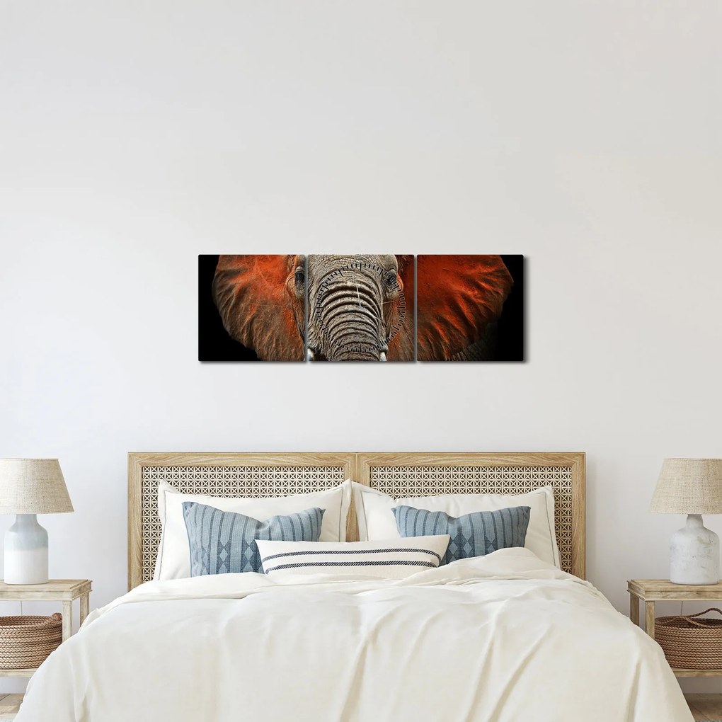 Obraz - Słonie z Tsavo (z zegarem) (90x30 cm)