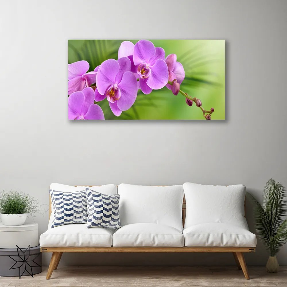 Obraz Canvas Storczyk Orchidea Kwiaty