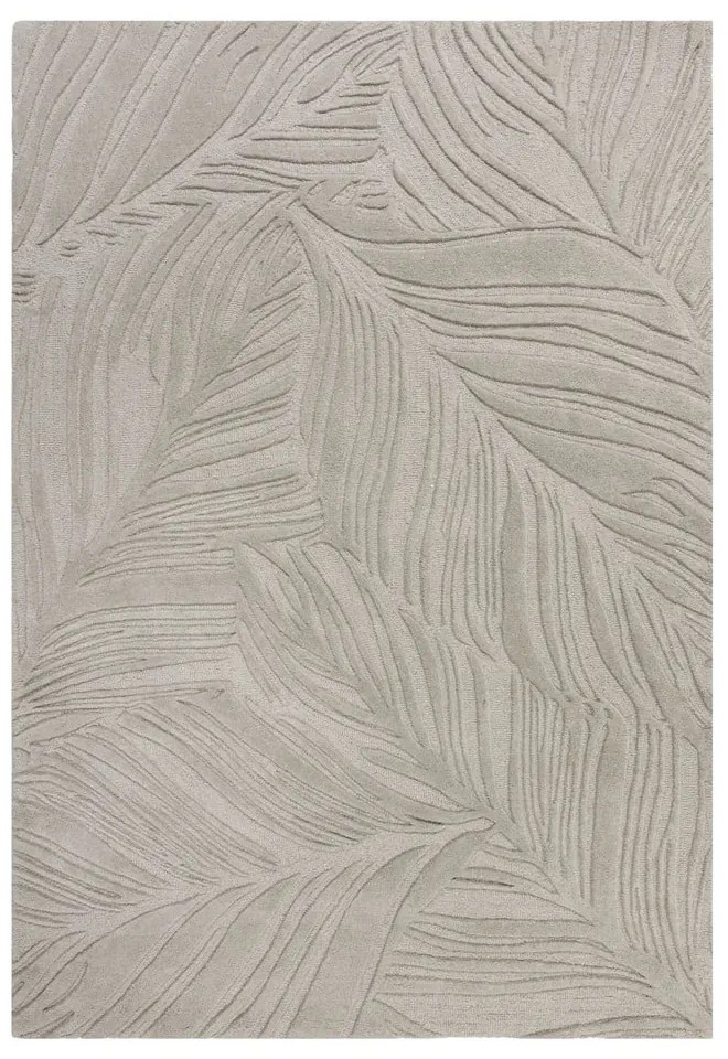 Szary dywan wełniany Flair Rugs Lino Leaf, 120x170 cm