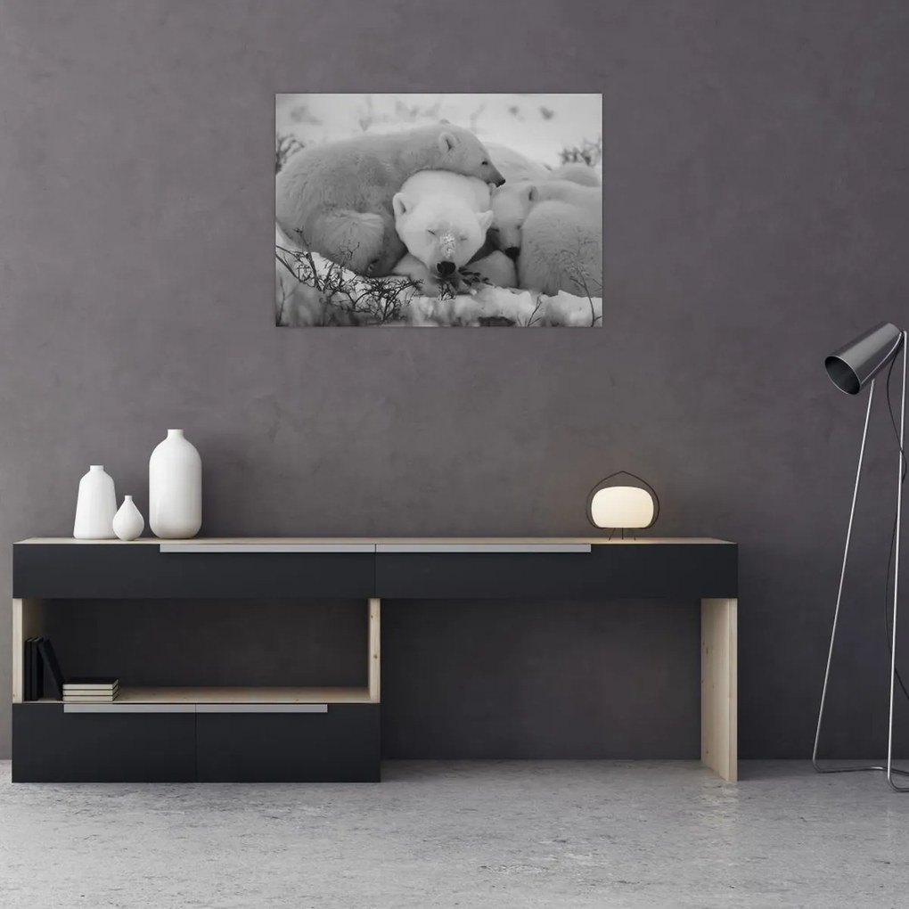 Obraz - Niedźwiadki polarne, czarno - biały (70x50 cm)