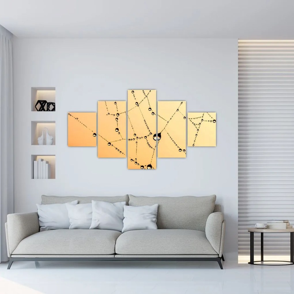 Obraz zroszonej pajęczyny (125x70 cm)