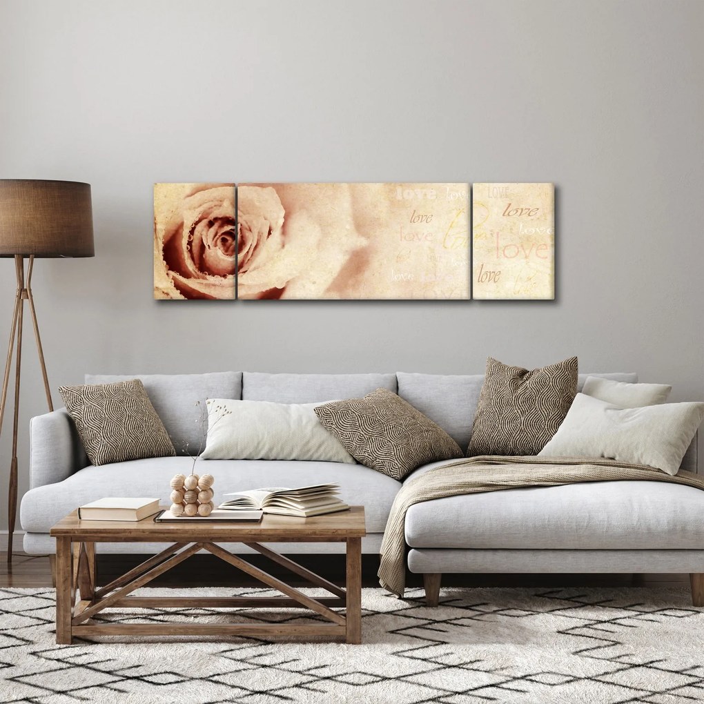 Obraz - Kwiat róży dla zakochanych (170x50 cm)