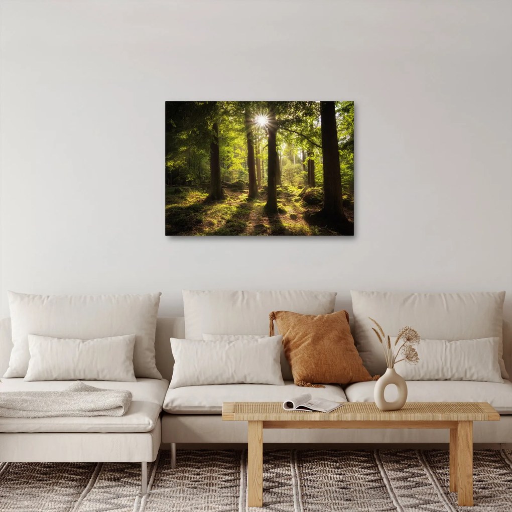 Obraz sennego lasu (70x50 cm)