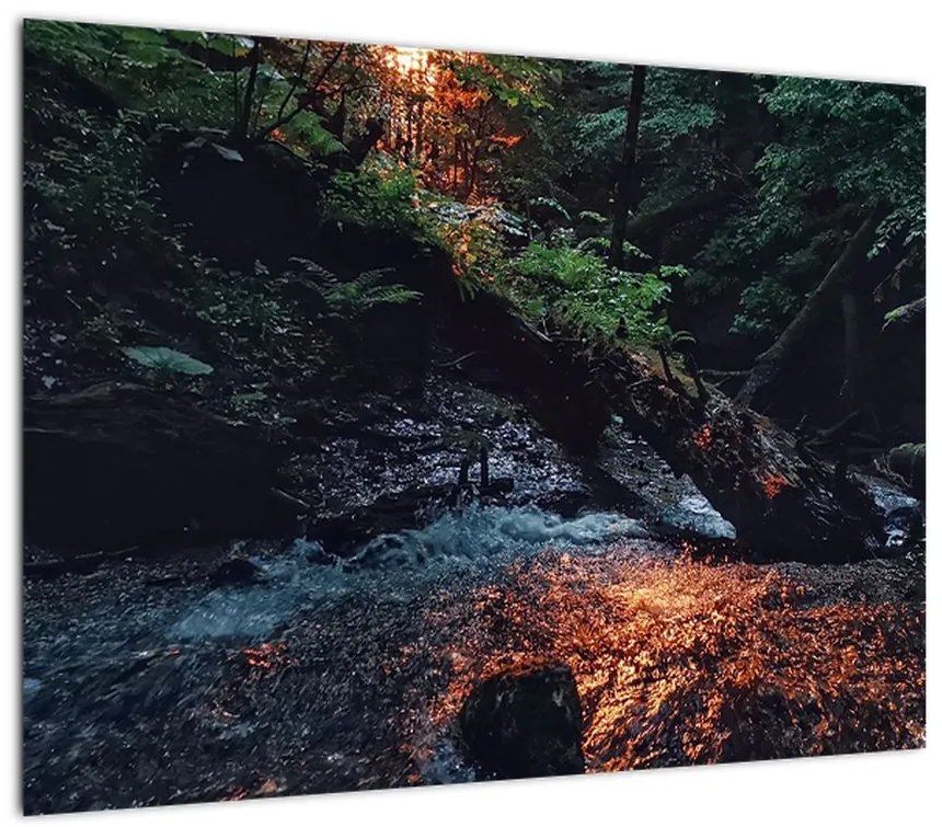 Obraz na szkle - górska rzeka (70x50 cm)