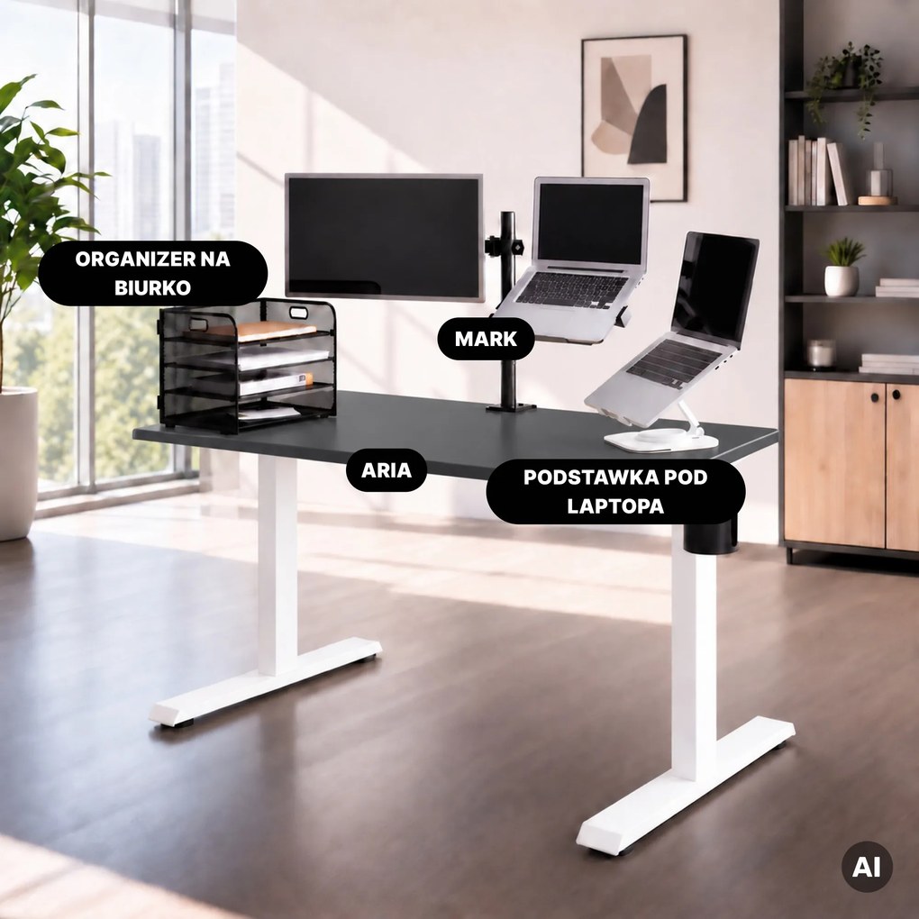 Biurko elektryczne z regulacją wysokości ergonomiczne biało-antracytowe,1200x600 mm: ARIA