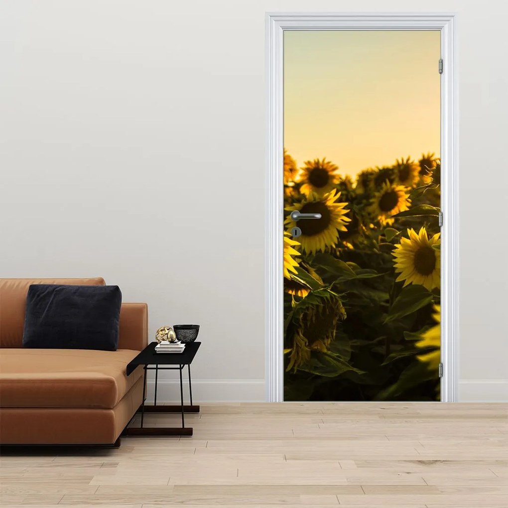 Fototapeta na drzwi - Pole słoneczników (95x205cm)