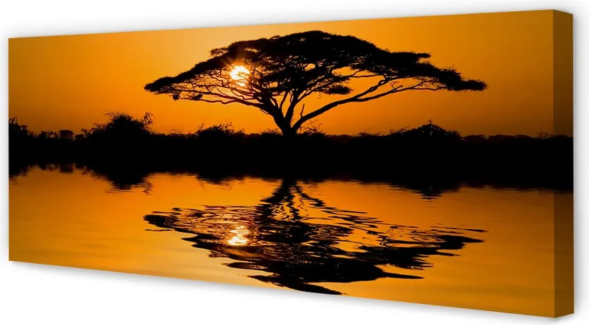 Obraz drukowany na płótnie Drzewo o Zachodzie Słońca