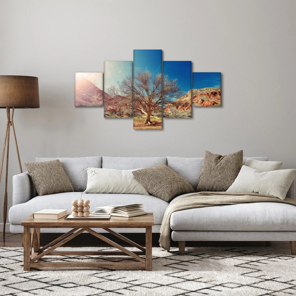 Obraz drzewa na pustyni (125x70 cm)