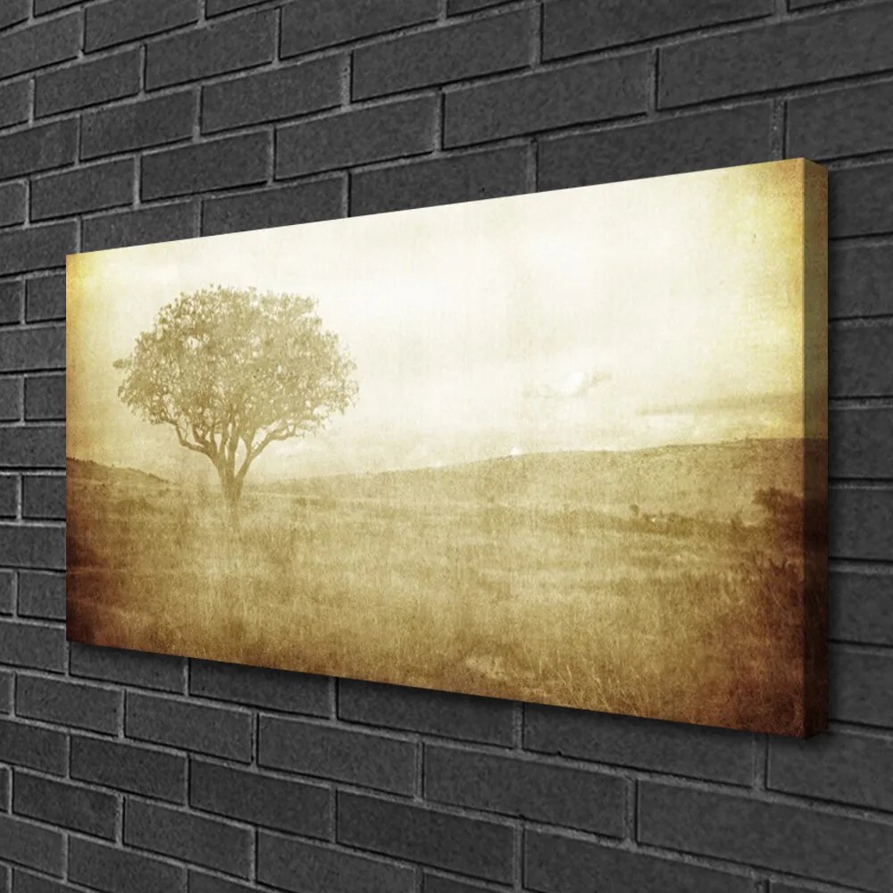 Fotoobraz na płótnie Korona Rozłożystego Drzewa