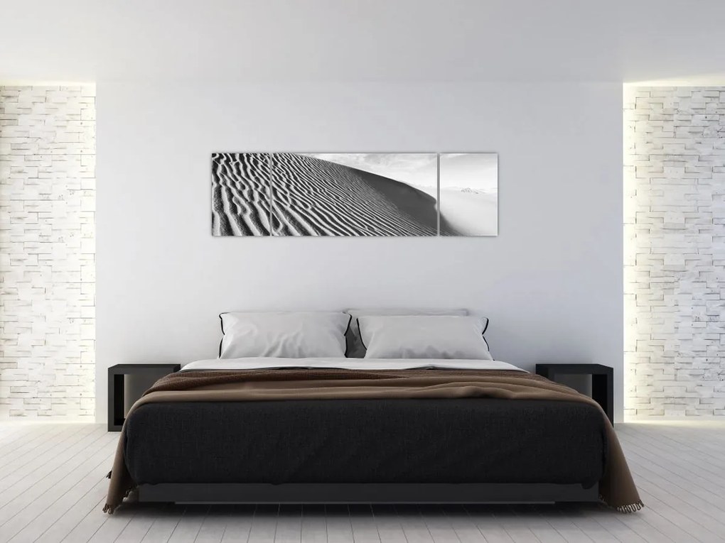 Obraz - Wydma piaskowa (170x50 cm)