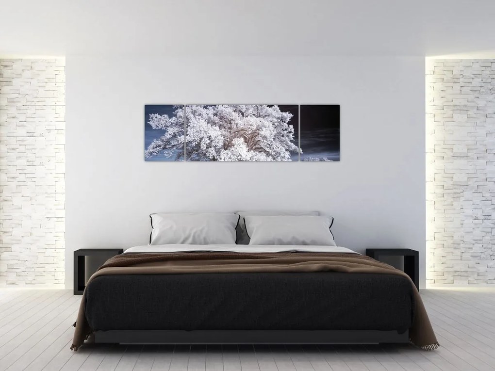Obraz - Śnieżnobiałe drzewo (170x50 cm)