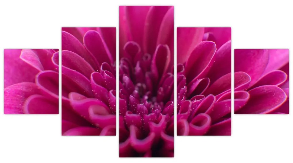 Obraz kwiatu (125x70 cm)