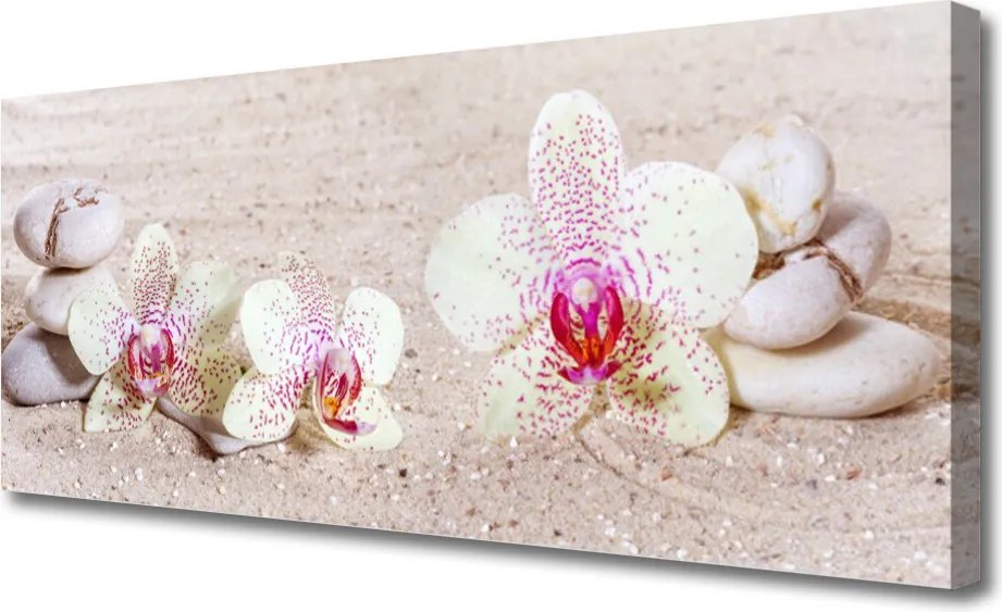 Obraz canvas Storczyk w Harmonii z Piaskiem