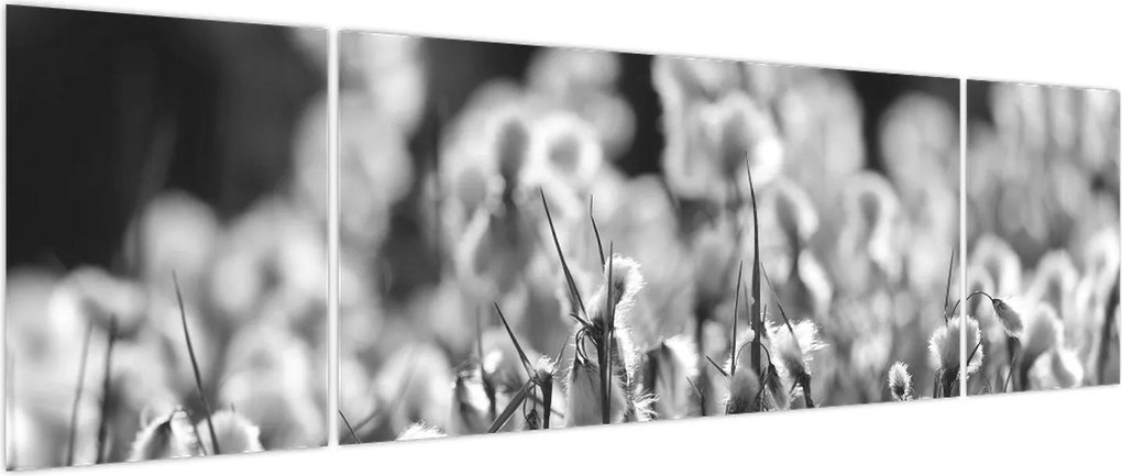 Obraz - Letnia łąka (170x50 cm)