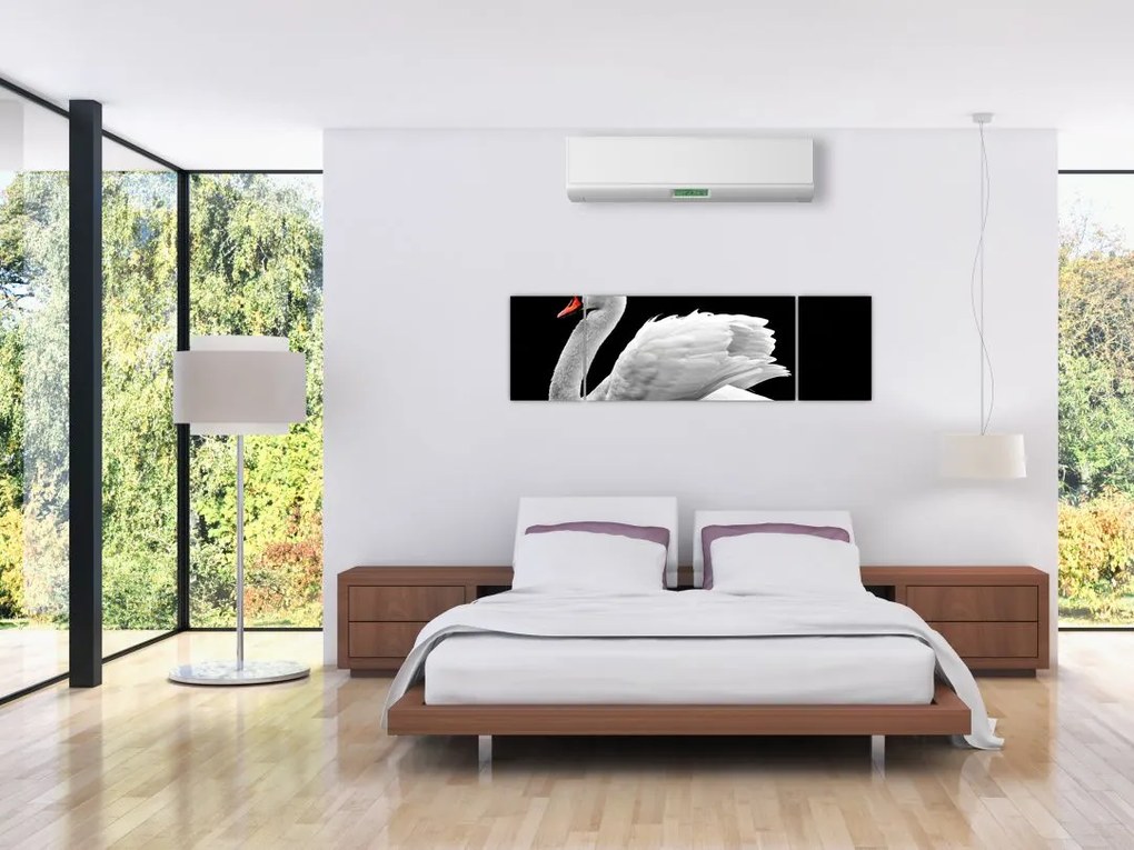 Obraz czarno - białego łabędzia (170x50 cm)
