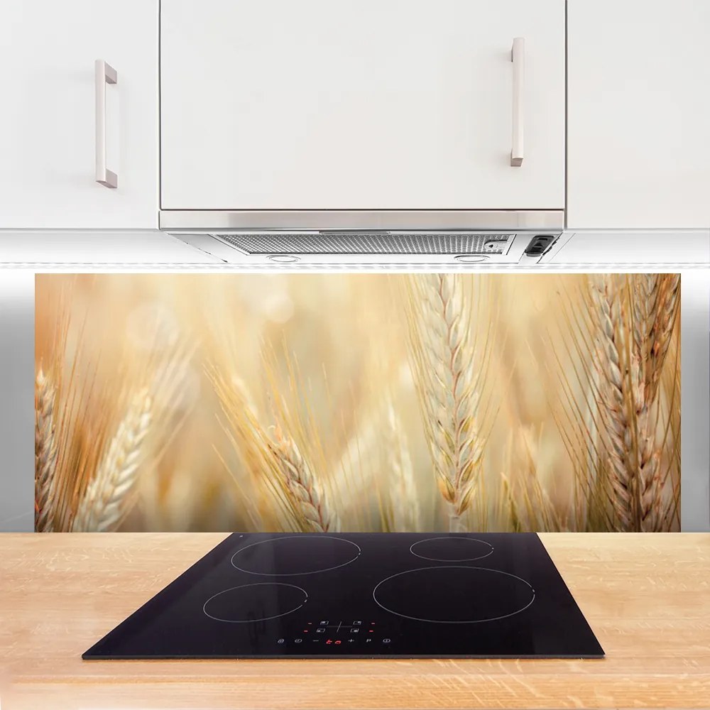 Szkło do Kuchni na Ścianę Łany Złotej Pszenicy