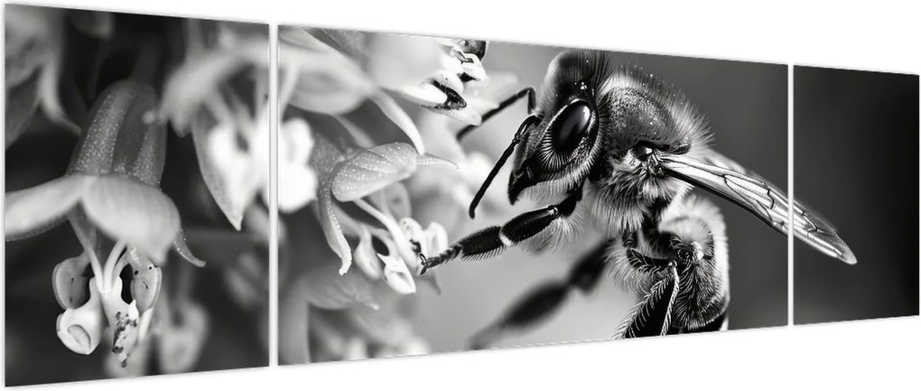 Obraz - Szczegół pszczoły (170x50 cm)