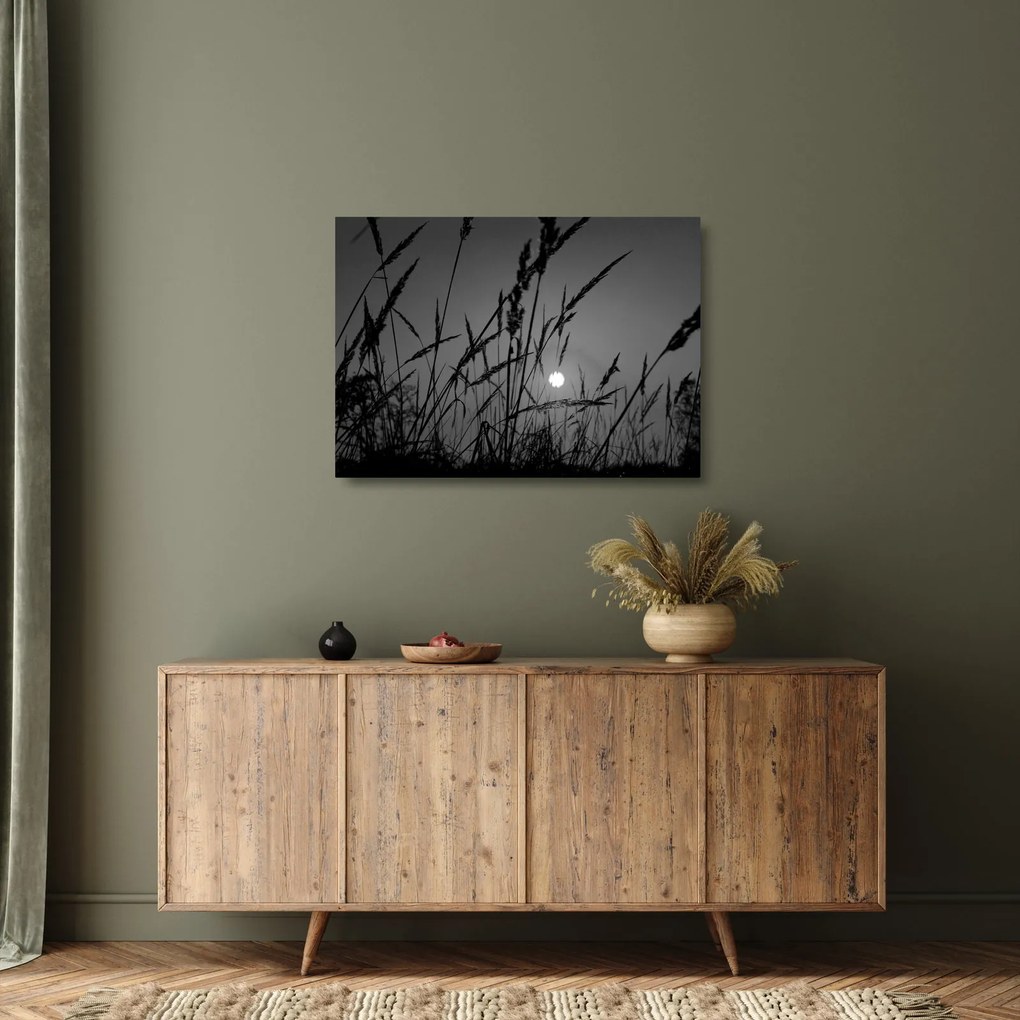Obraz na szkle - Łąka z zachodem słońca (70x50 cm)