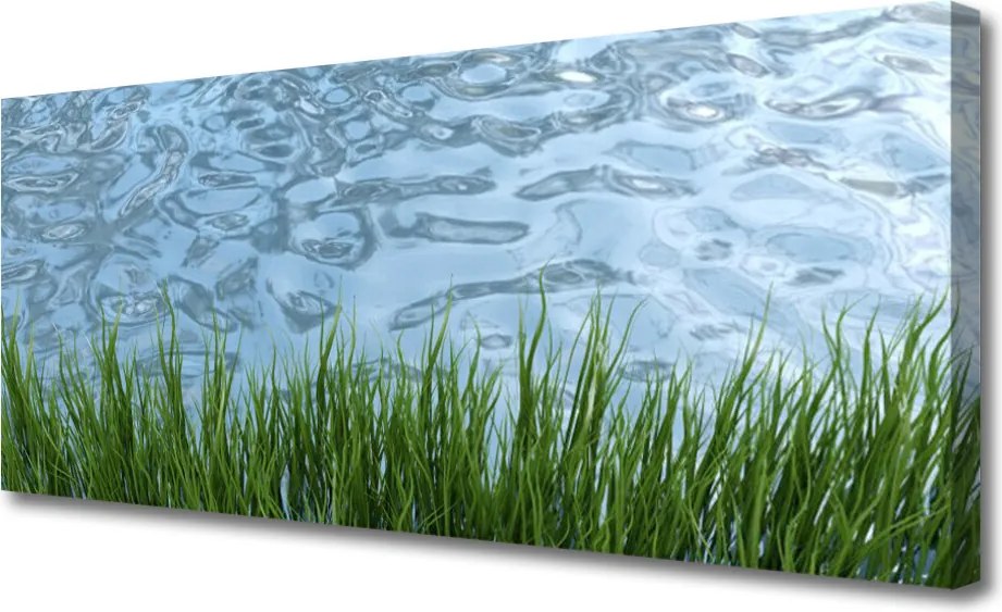 Obraz canvas Świeżość Trawy nad Brzegiem