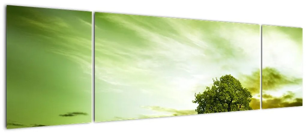 Obraz - Drzewo życia (170x50 cm)