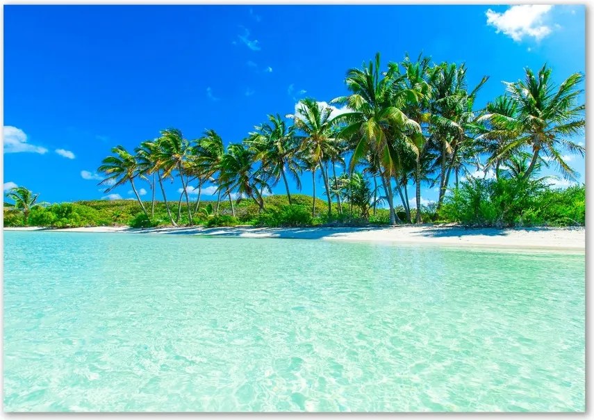 Foto obraz szklany Tropikalna plaża