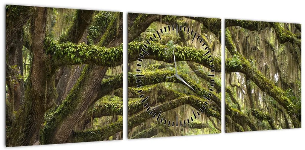 Obraz - Oaks Avenue, Charleston, Karolina Południowa, USA (z zegarem) (90x30 cm)