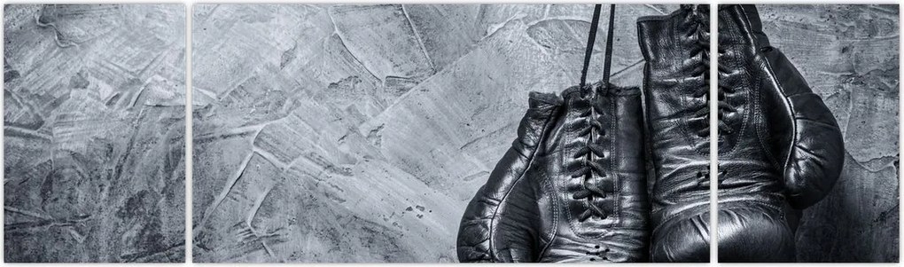 Obraz - Rękawice bokserskie (170x50 cm)
