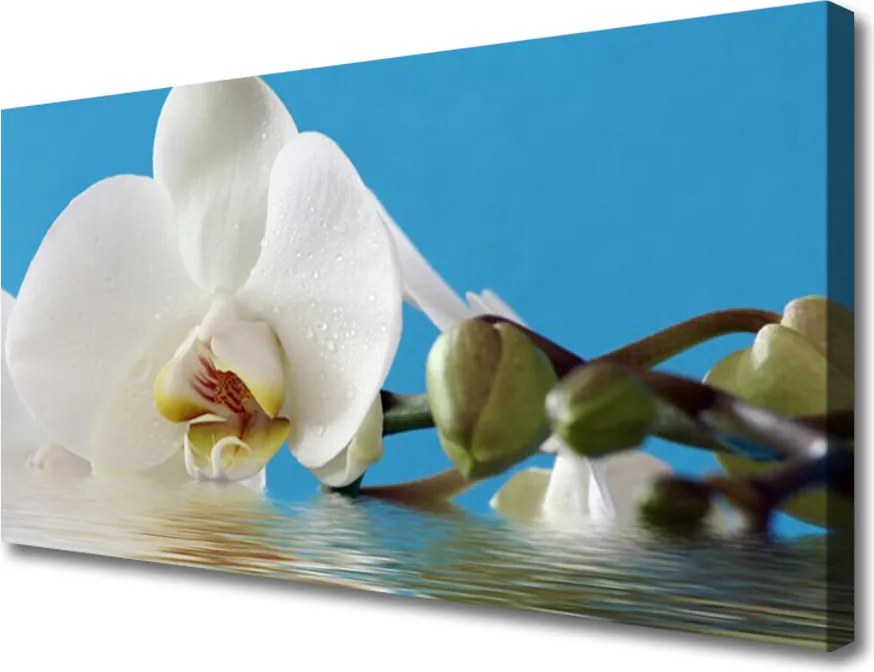 Duży obraz na płótnie Botaniczny Portret Kwiatu