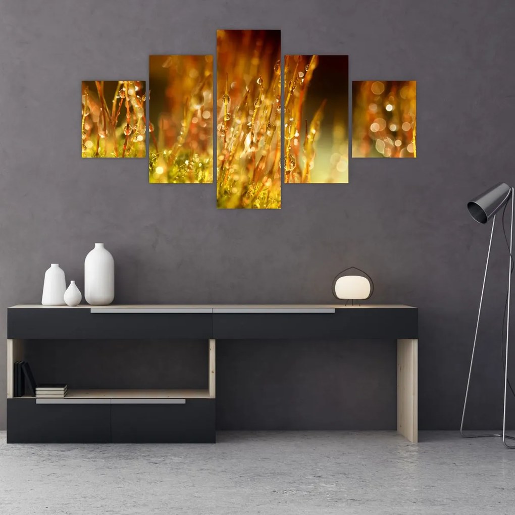 Obraz - Szczegół rosy (125x70 cm)