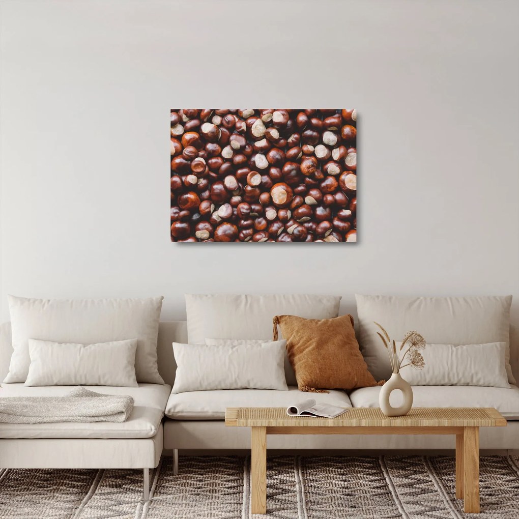 Obraz na szkle - Dojrzałe kasztany (70x50 cm)