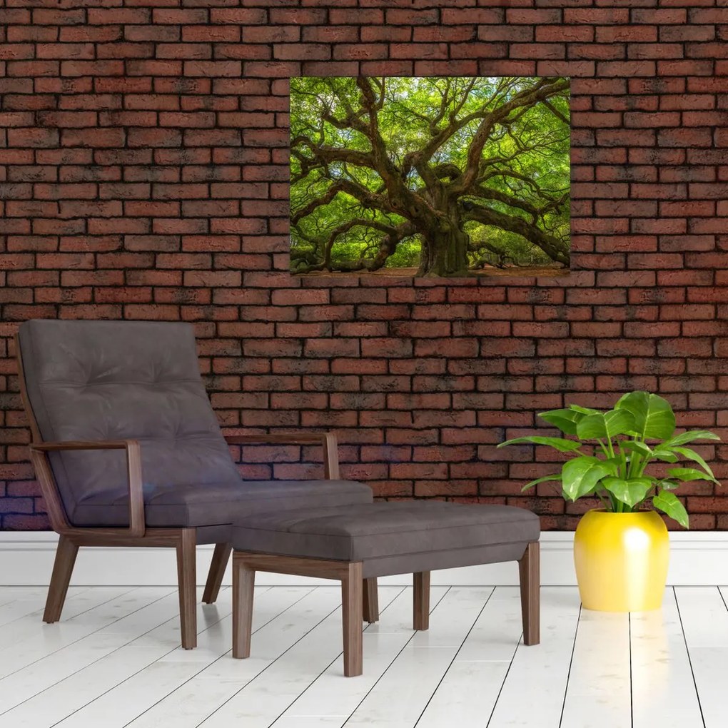Obraz - Zielone drzewo (70x50 cm)