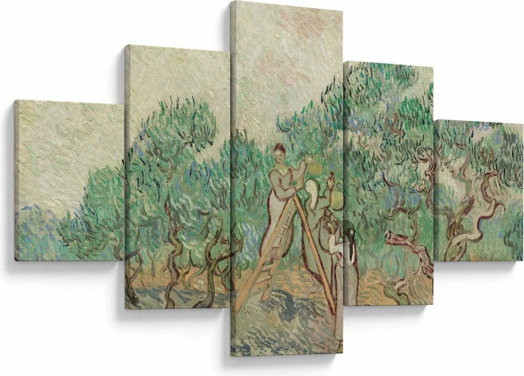 Obraz - Vincent van Gogh, The Olive Orchard, reprodukcje (125x70 cm)