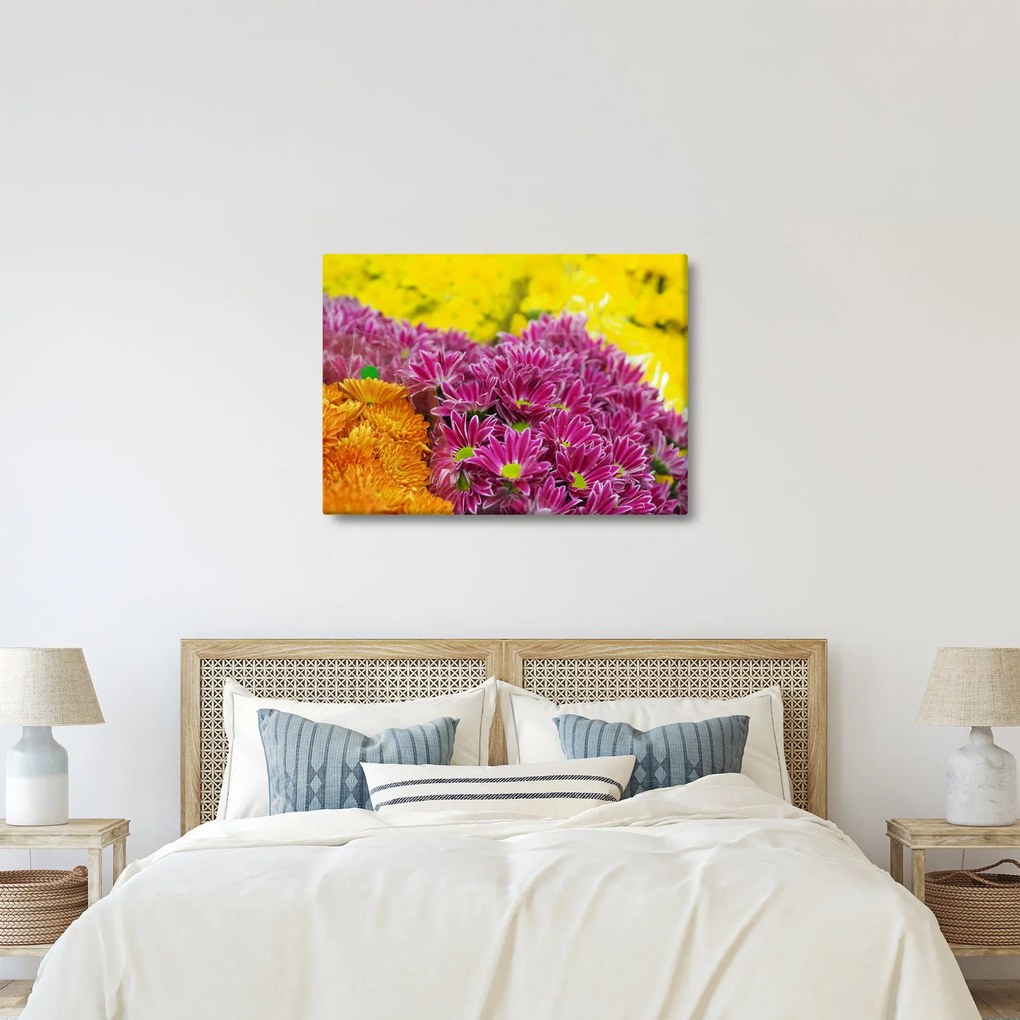Obraz różowego kwiatu (70x50 cm)
