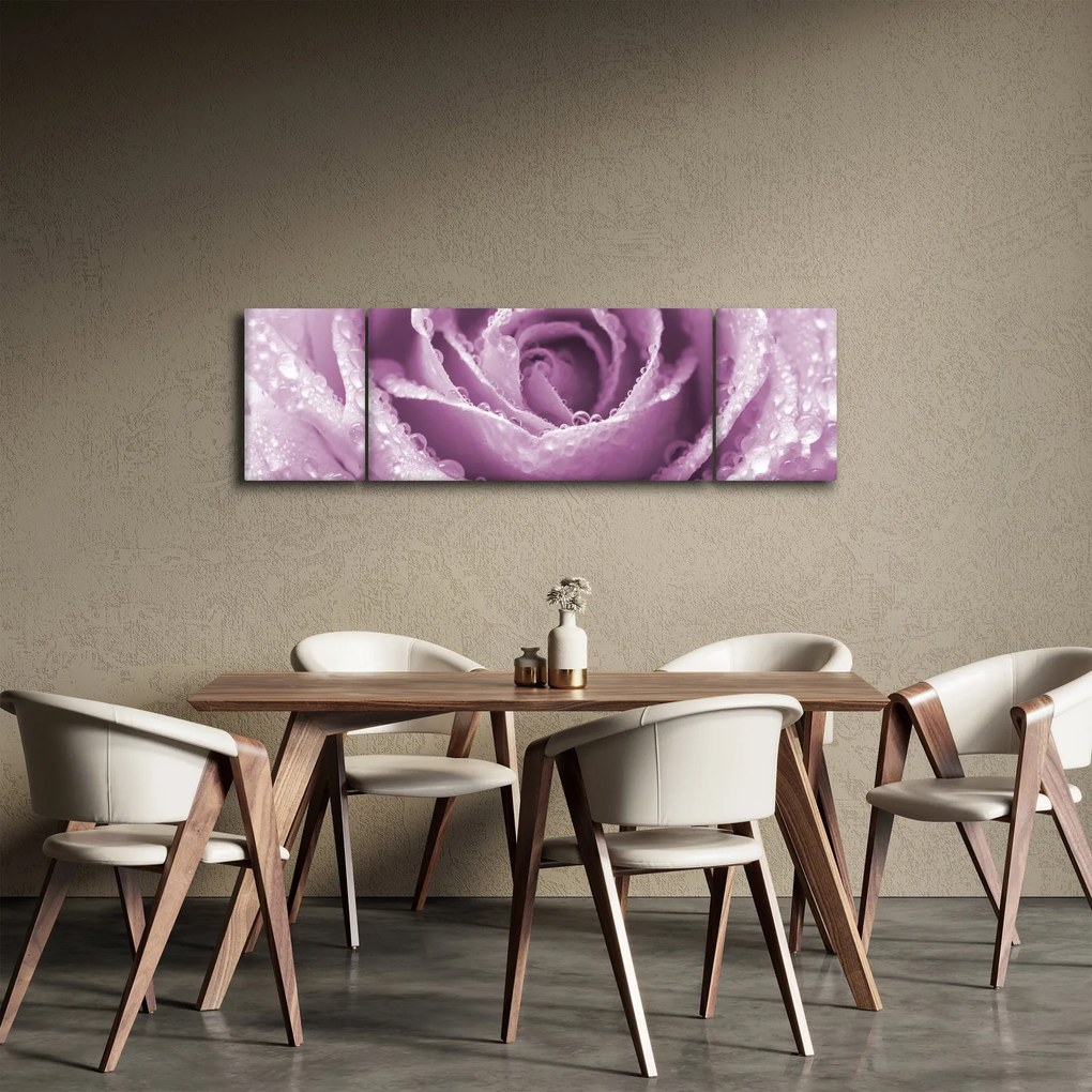 Obraz szczegółu kwiatu róży (170x50 cm)