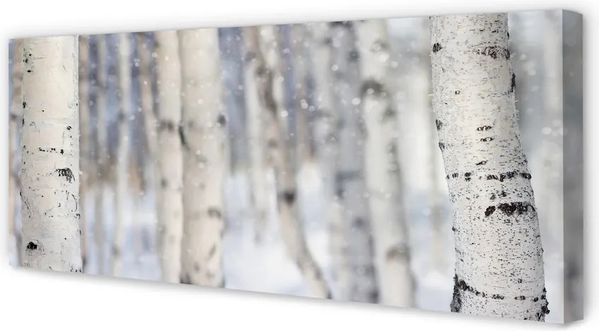 Obraz na płótnie Drzewa Zimą w Śniegu