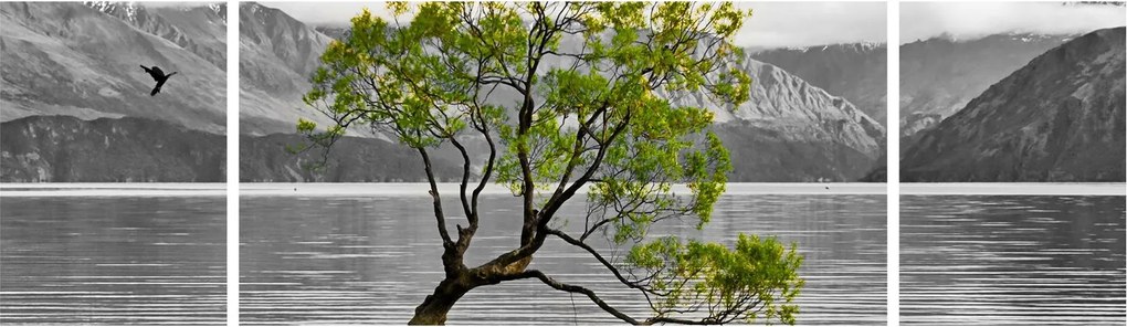 Obraz drzewa na środku jeziora (170x50 cm)