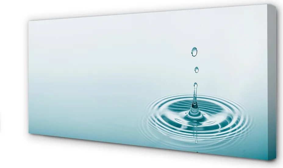 Duży obraz na płótnie Kropla Wody w Makrofotografii