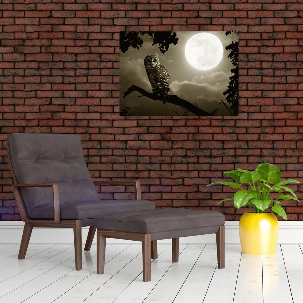 Obraz - Nocna sowa, złoty (70x50 cm)