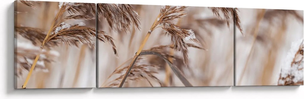 Obraz - Lipnice (170x50 cm)