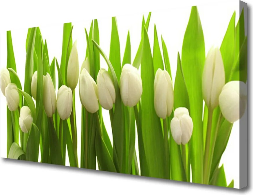 Obraz canvas na ścianę Kolorowy Zawrót Głowy: Tulipany