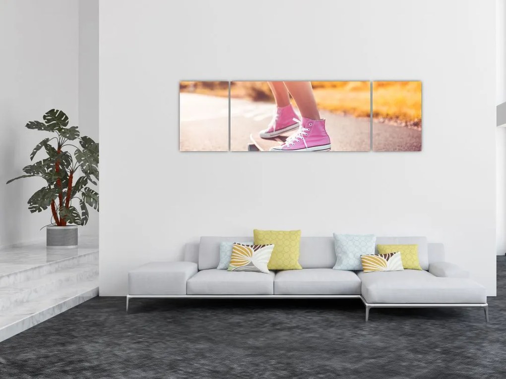 Obraz deskorolki (170x50 cm)