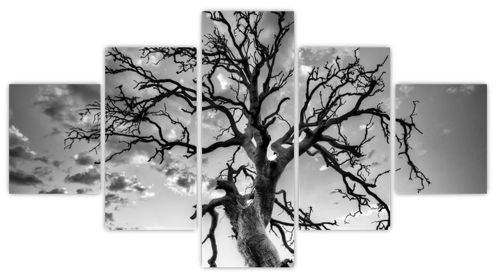 Obraz - Czarno - białe drzewo (125x70 cm)