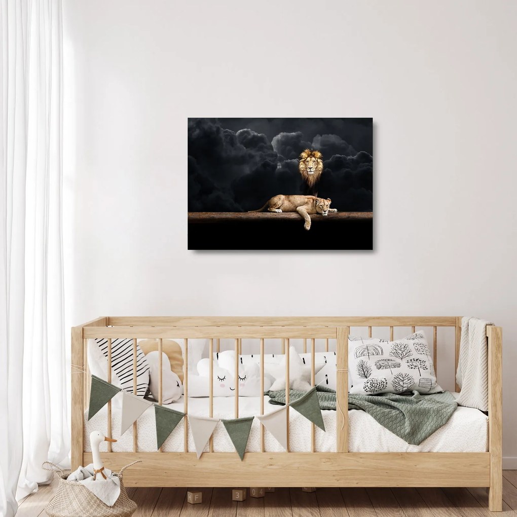 Obraz na szkle - Lew i lwica w chmurach (70x50 cm)