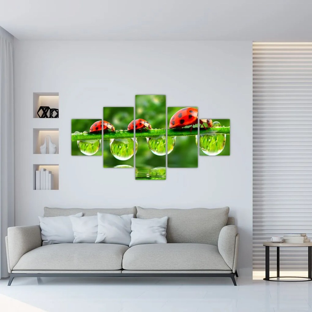 Obraz - Sunshine of the Seven Suns (125x70 cm)
