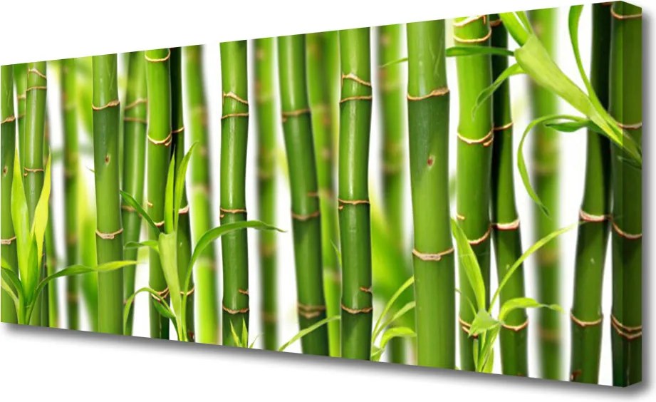 Obraz canvas Świeżość Zielonego Bambusa