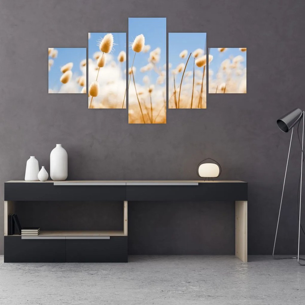 Obraz - Złote pole (125x70 cm)