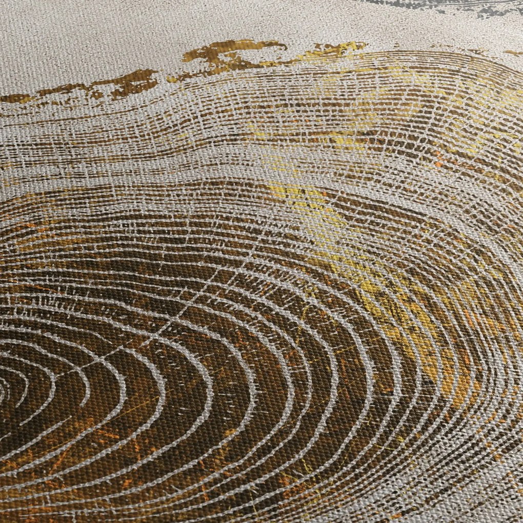 Obraz - Abstrakcja pnia (70x50 cm)