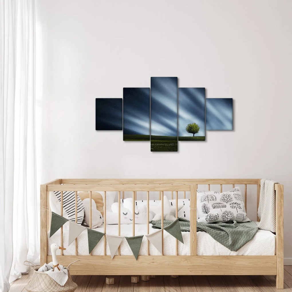 Obraz zorzy polarnej nad wrzosowiskami (125x70 cm)